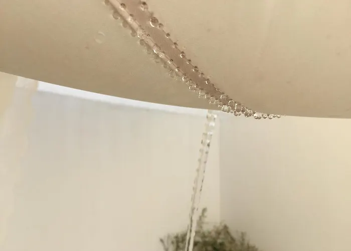 The White Адамас